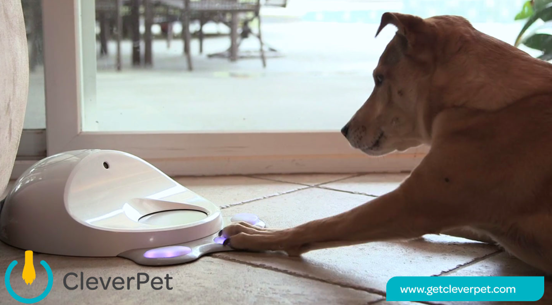 CleverPet – because your pooch needs a gaming console too