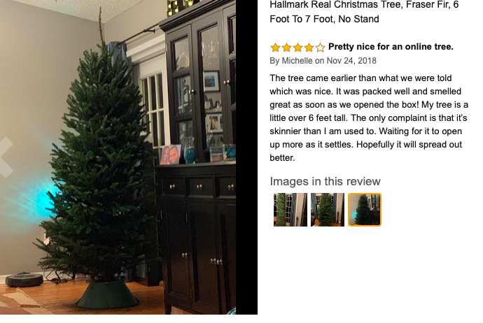Amazon Christmas Tree